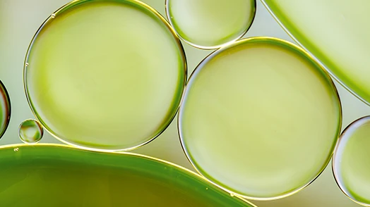 Due cerchi gialli vicini con spre in mezzo un cerchio giallo più piccolo.